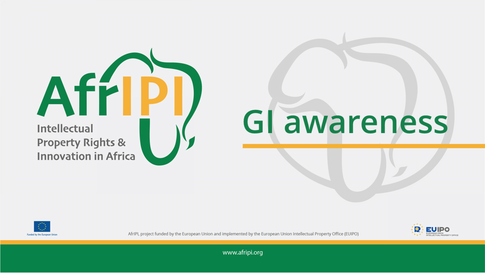 Afripi logo and title for the event