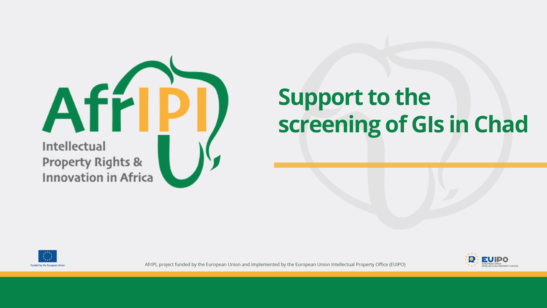 Afripi logo and title for the event