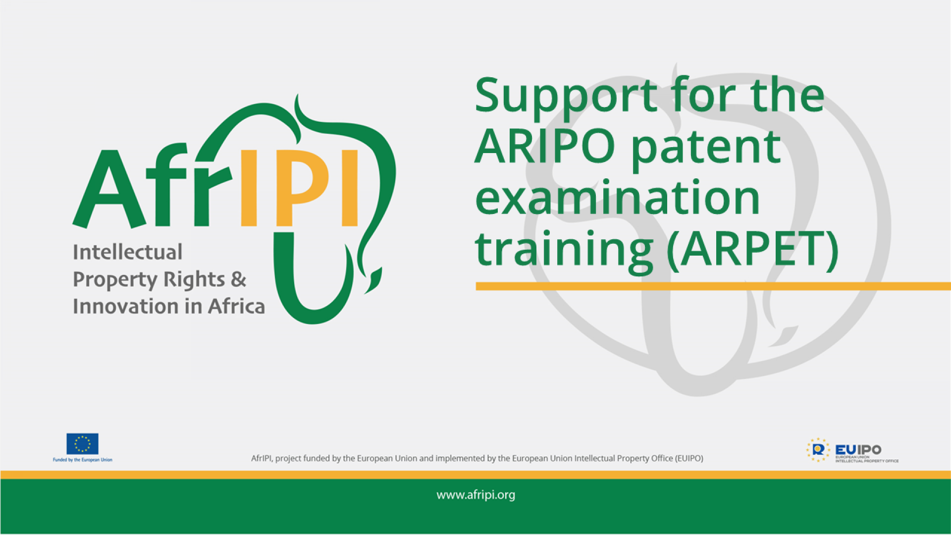 Afripi logo and title for the event