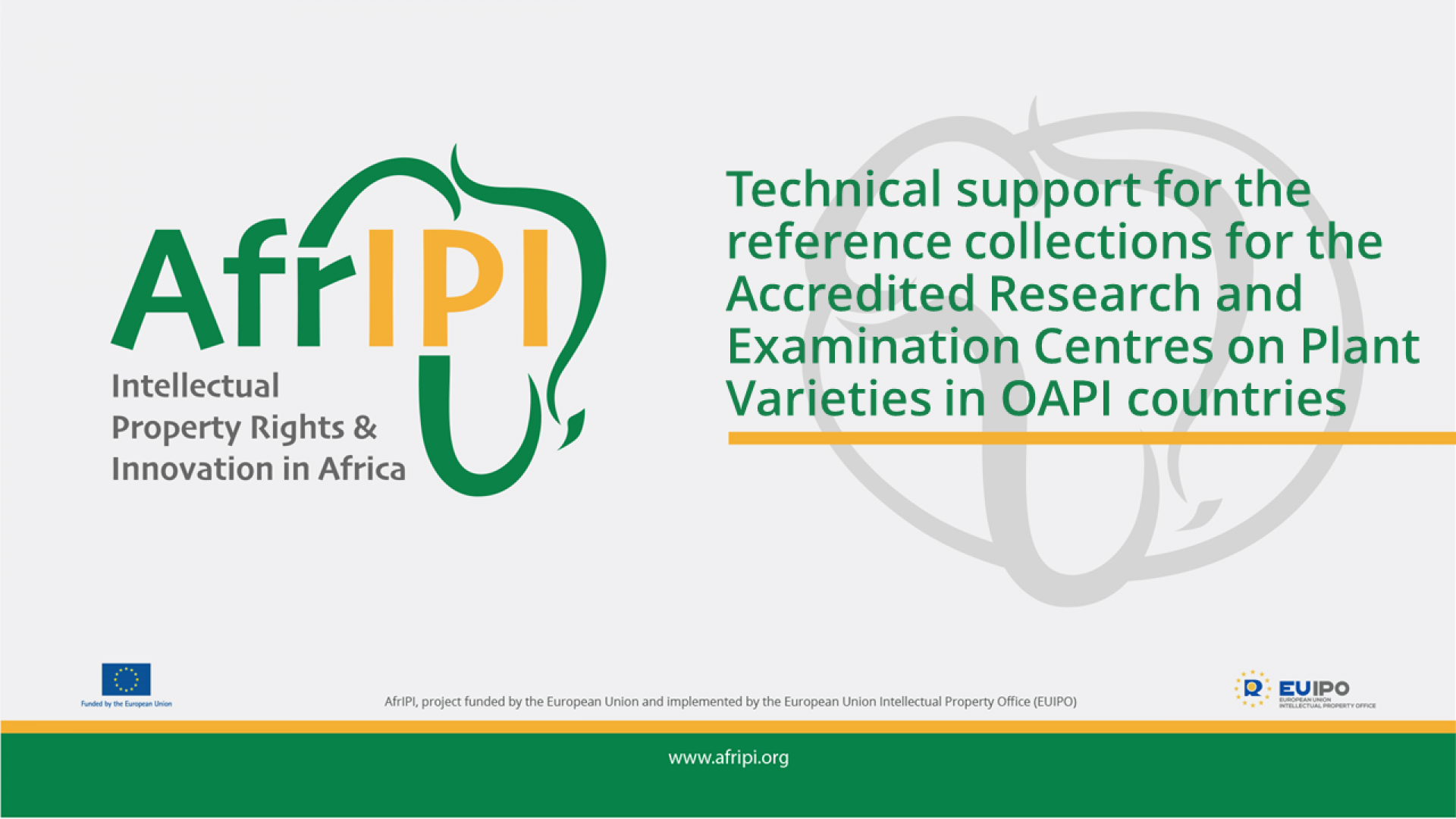 Afripi logo and title for the event