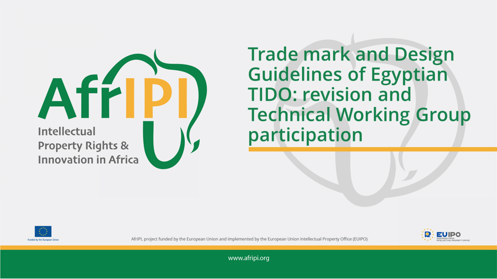 Afripi logo and title for the event