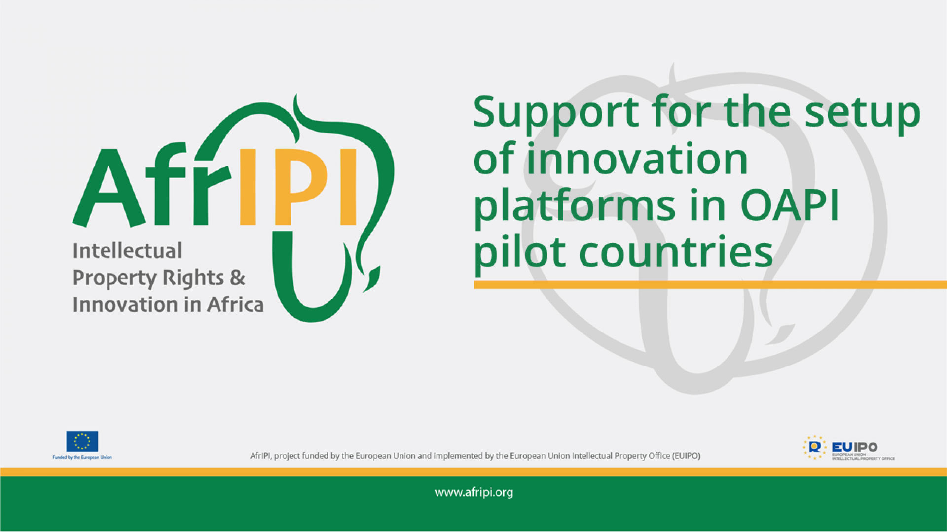 Afripi logo and title for the event