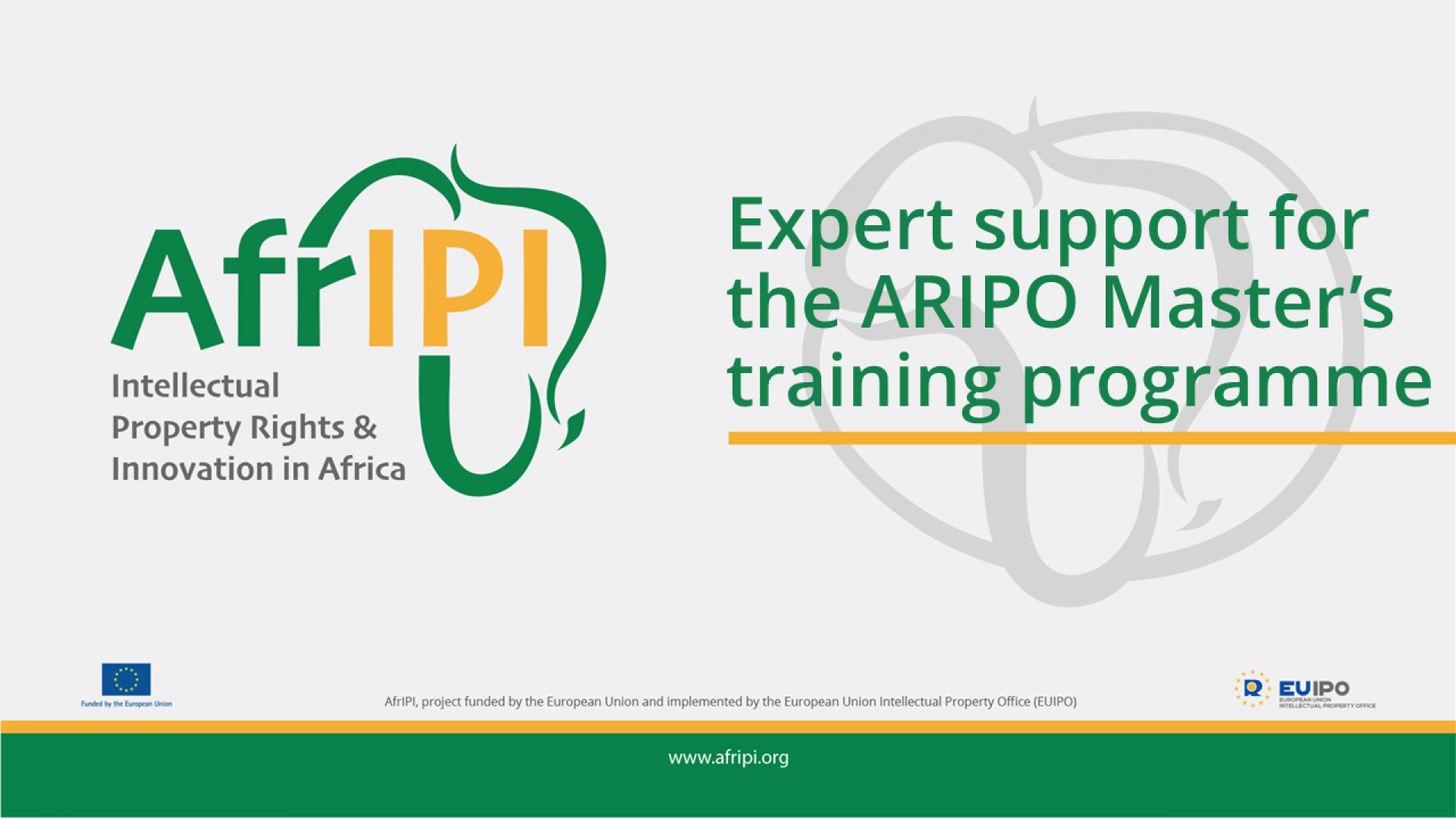 Afripi logo and title for the event