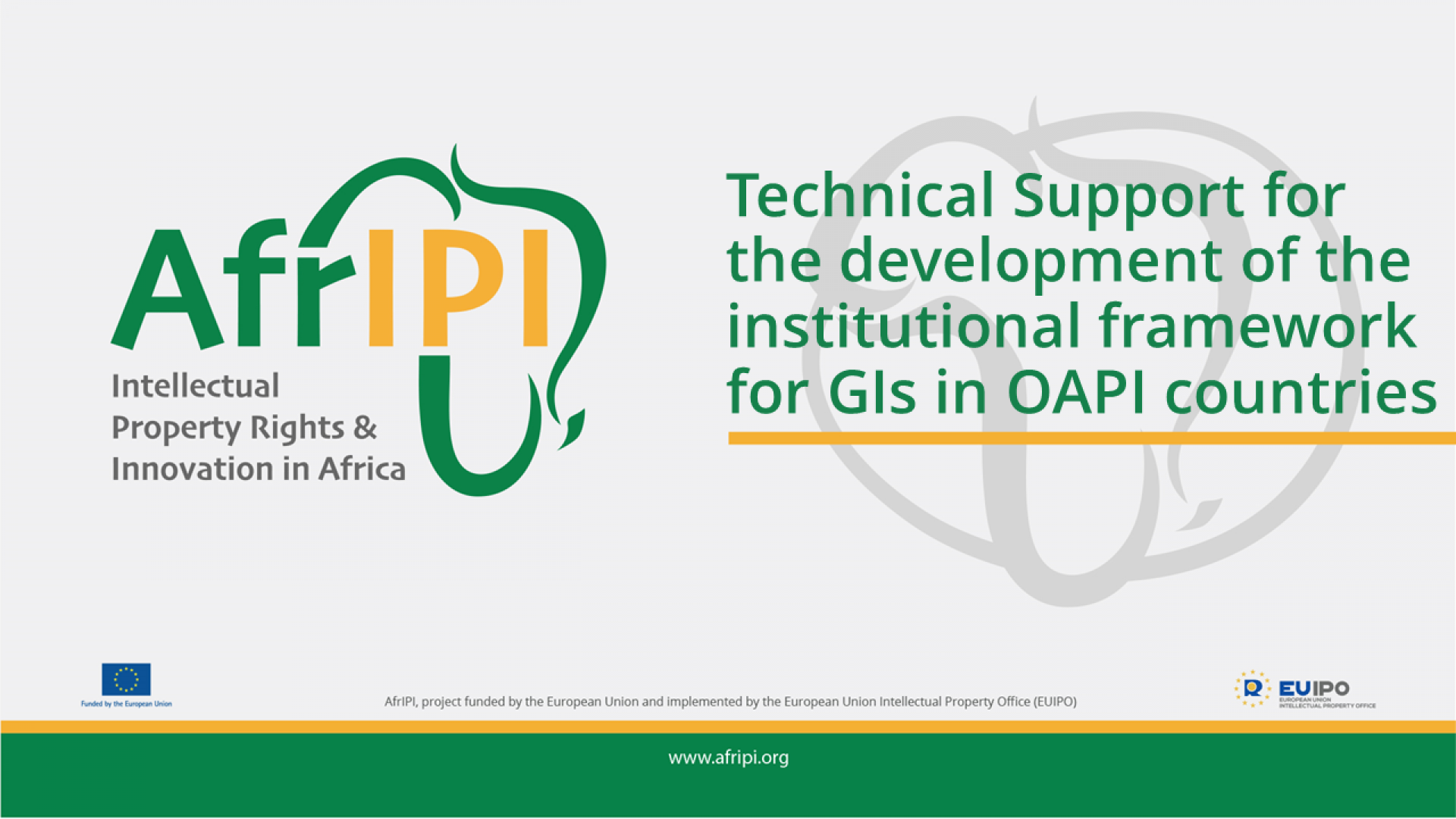 Afripi logo and title for the event