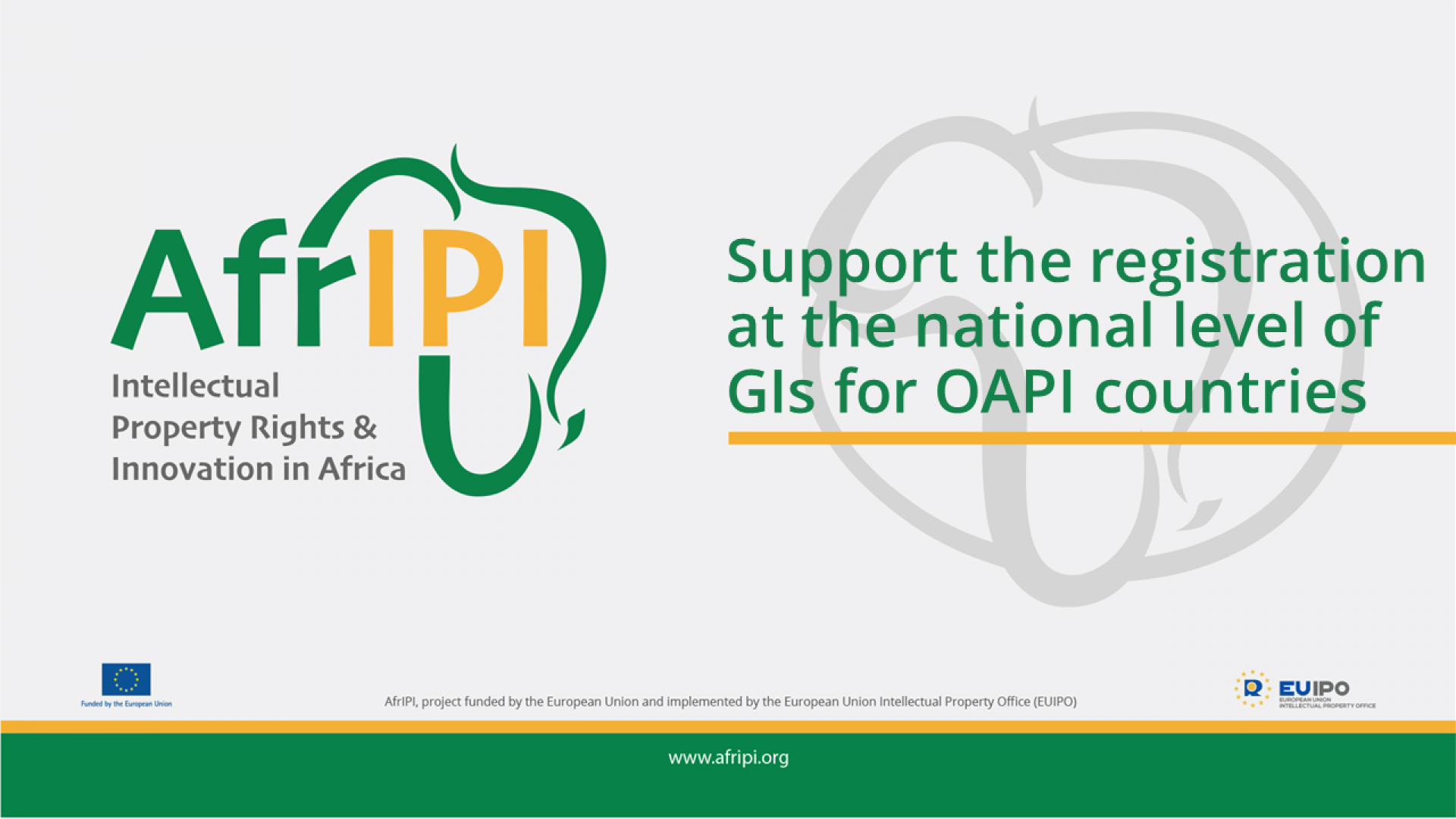 Afripi logo and title for the event