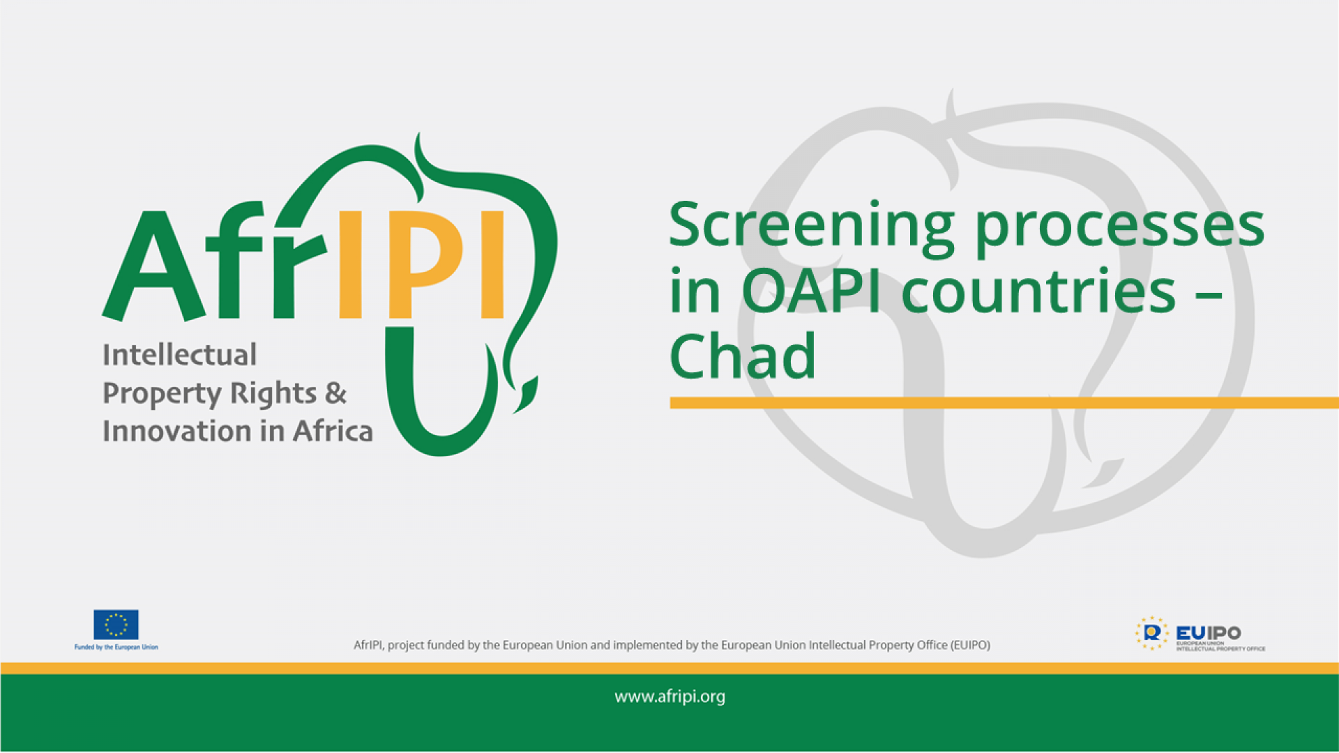 Afripi logo and title for the event