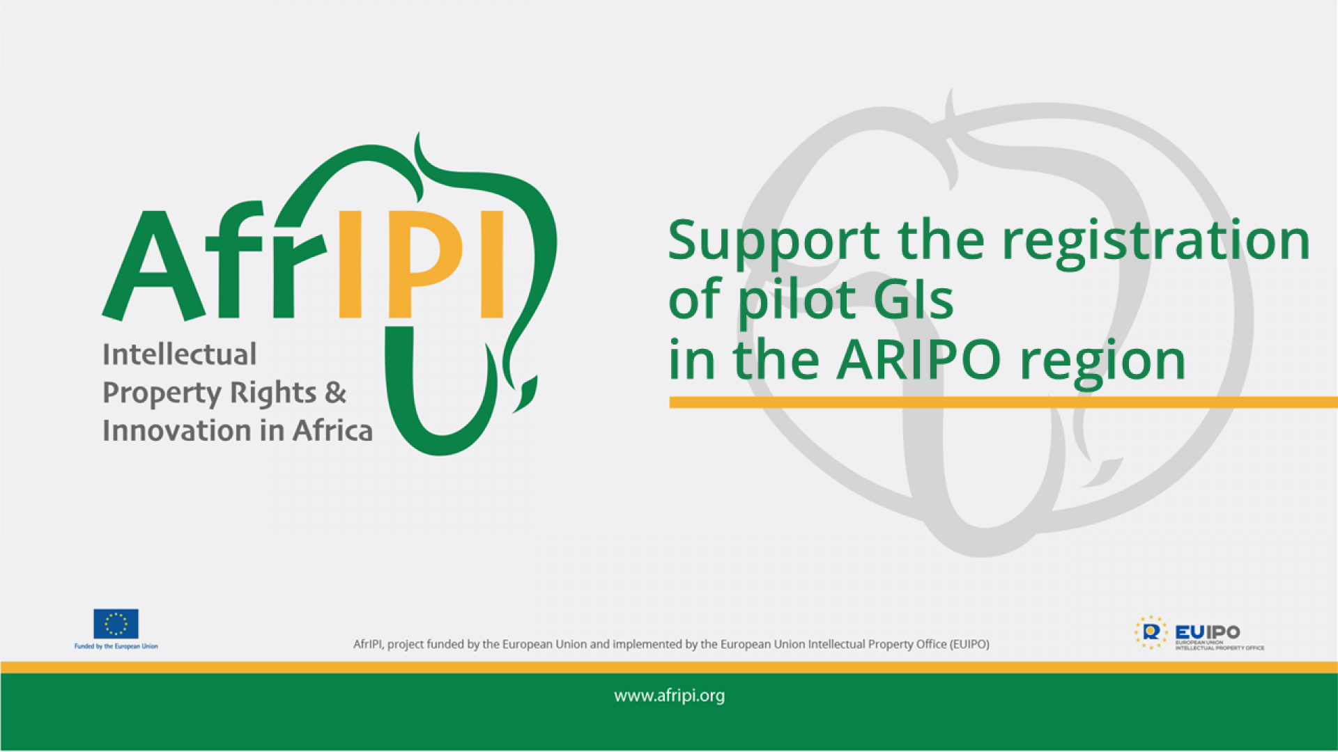Afripi logo and title for the event