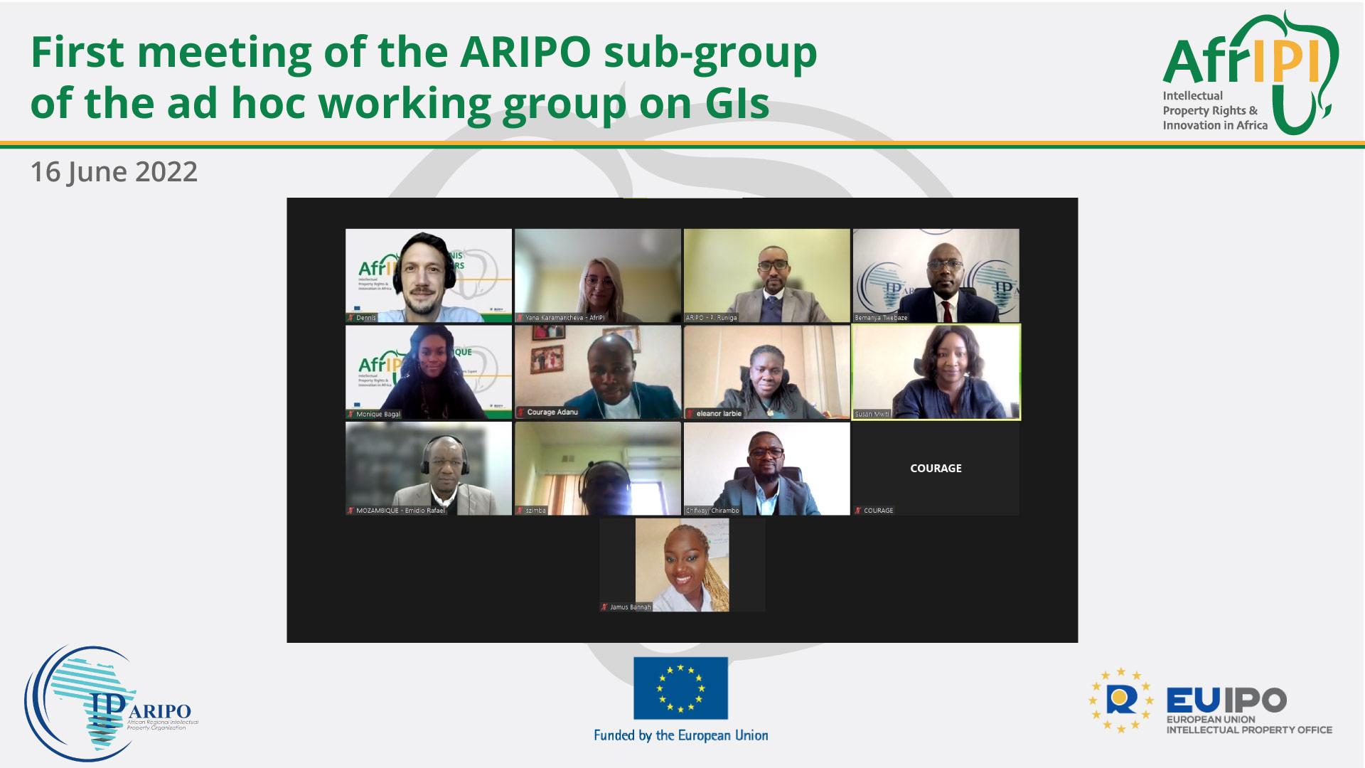 Pc screen with the participants, title and logo added