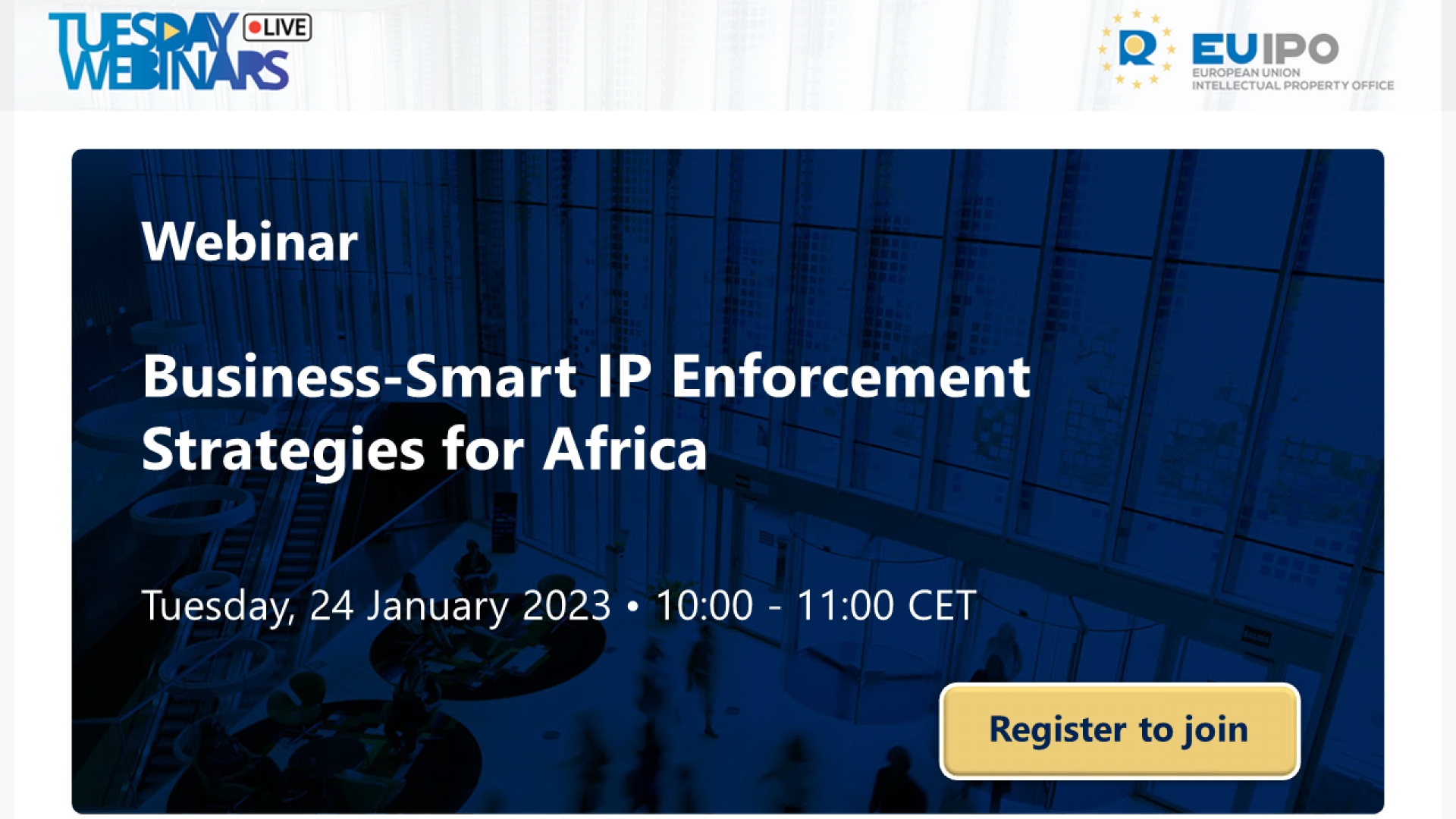 AfrIPI_Business-Smart_IP_Enforcement_Strategies_for_Africa