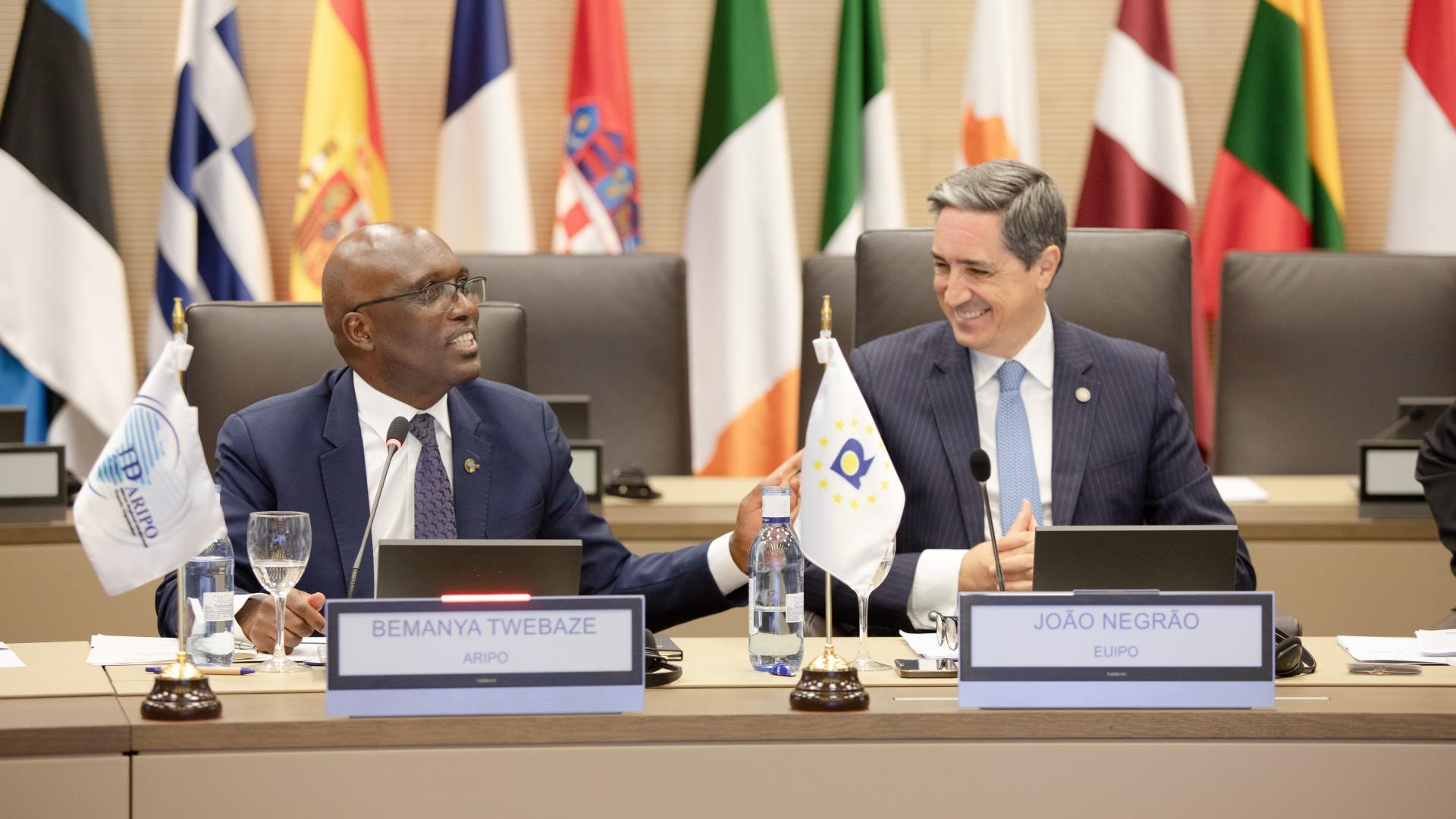 ARIPO IP Offices and AfrIPI reinforce cooperation agreement