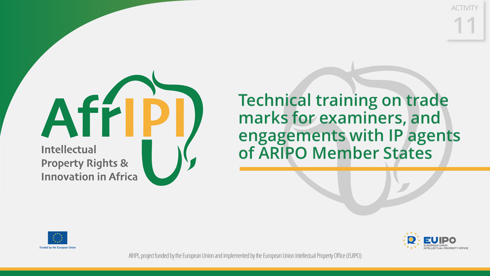 AfrIPI - AWP24 - Activity 11