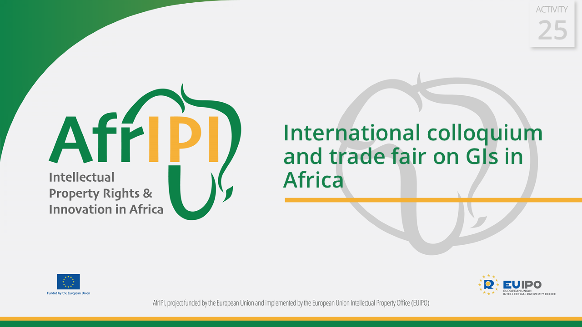 AfrIPI - AWP24 - Activity 25