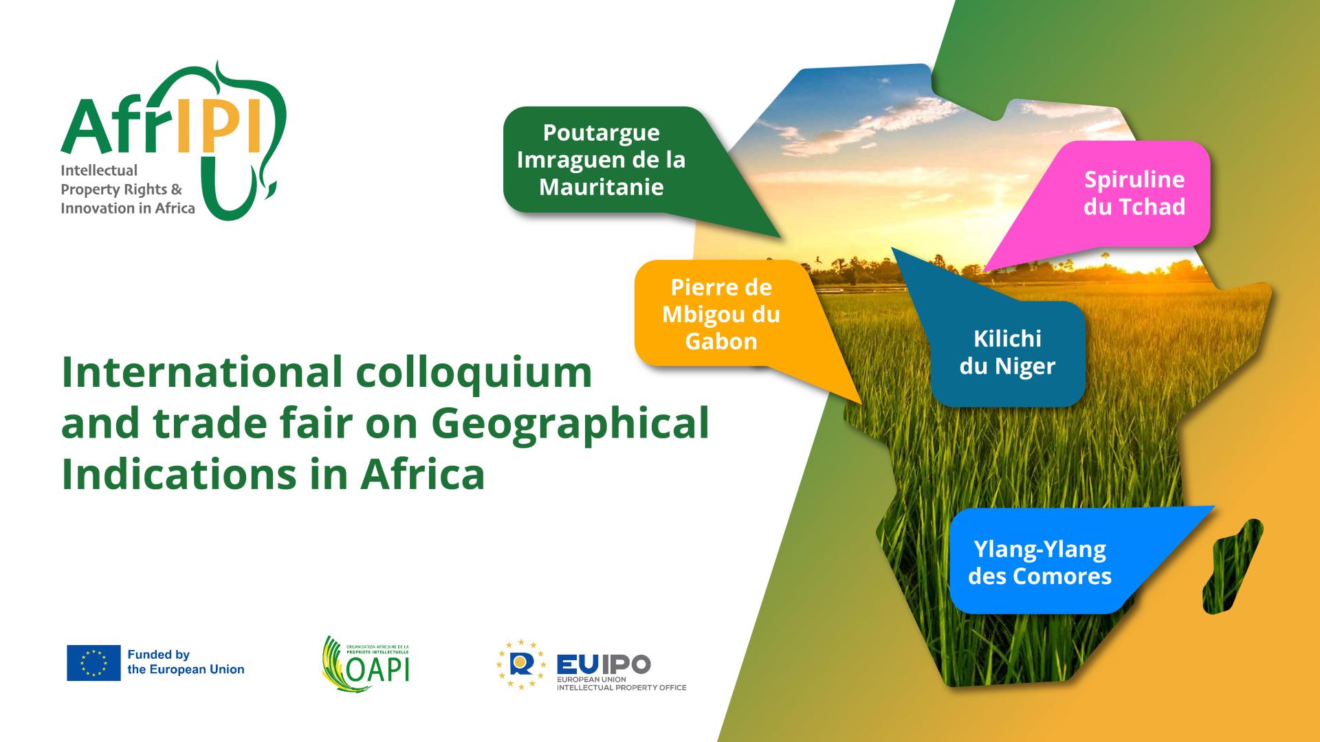 International Colloquium