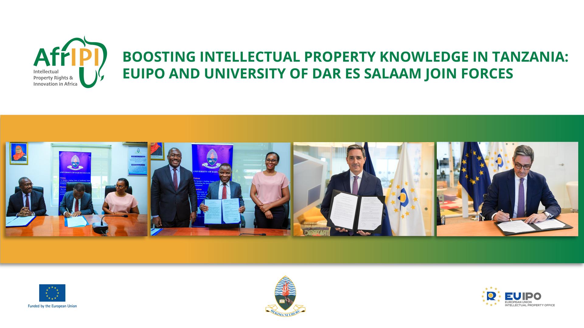 AfrIPI MoU Tanzania 2024