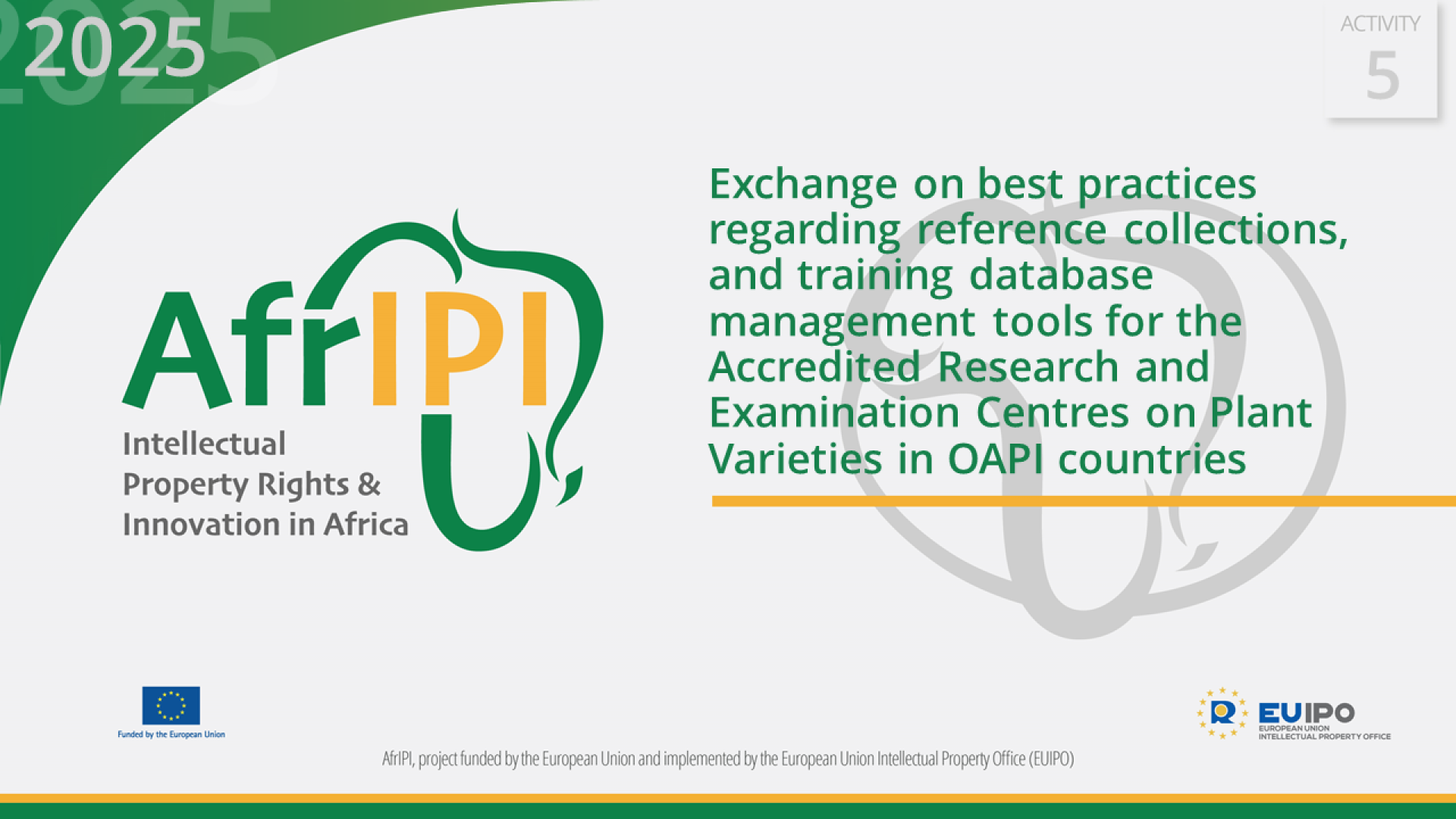 AfrIPI - AWP25 - Activity 5