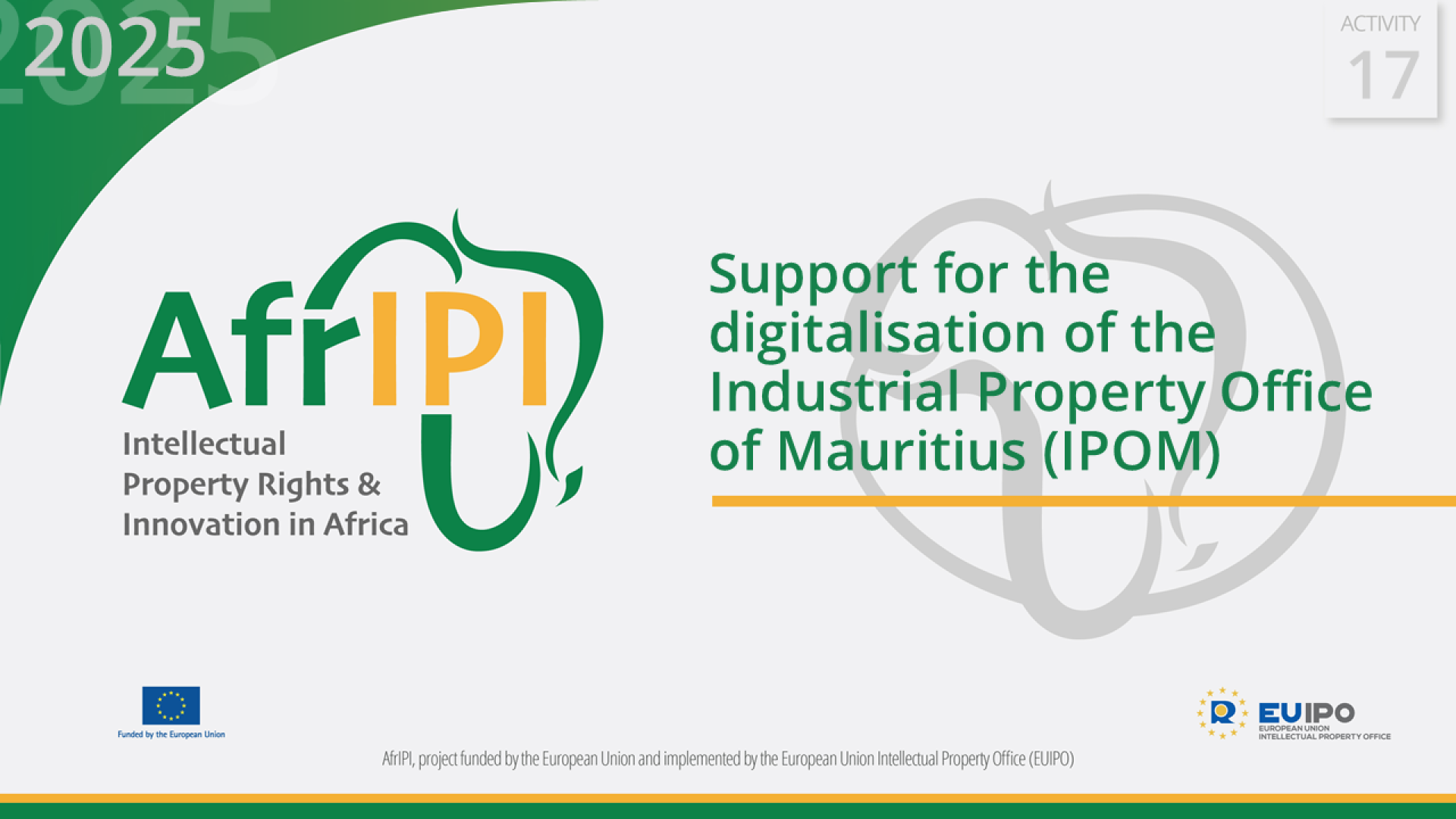 AfrIPI_AWP2025_Act17