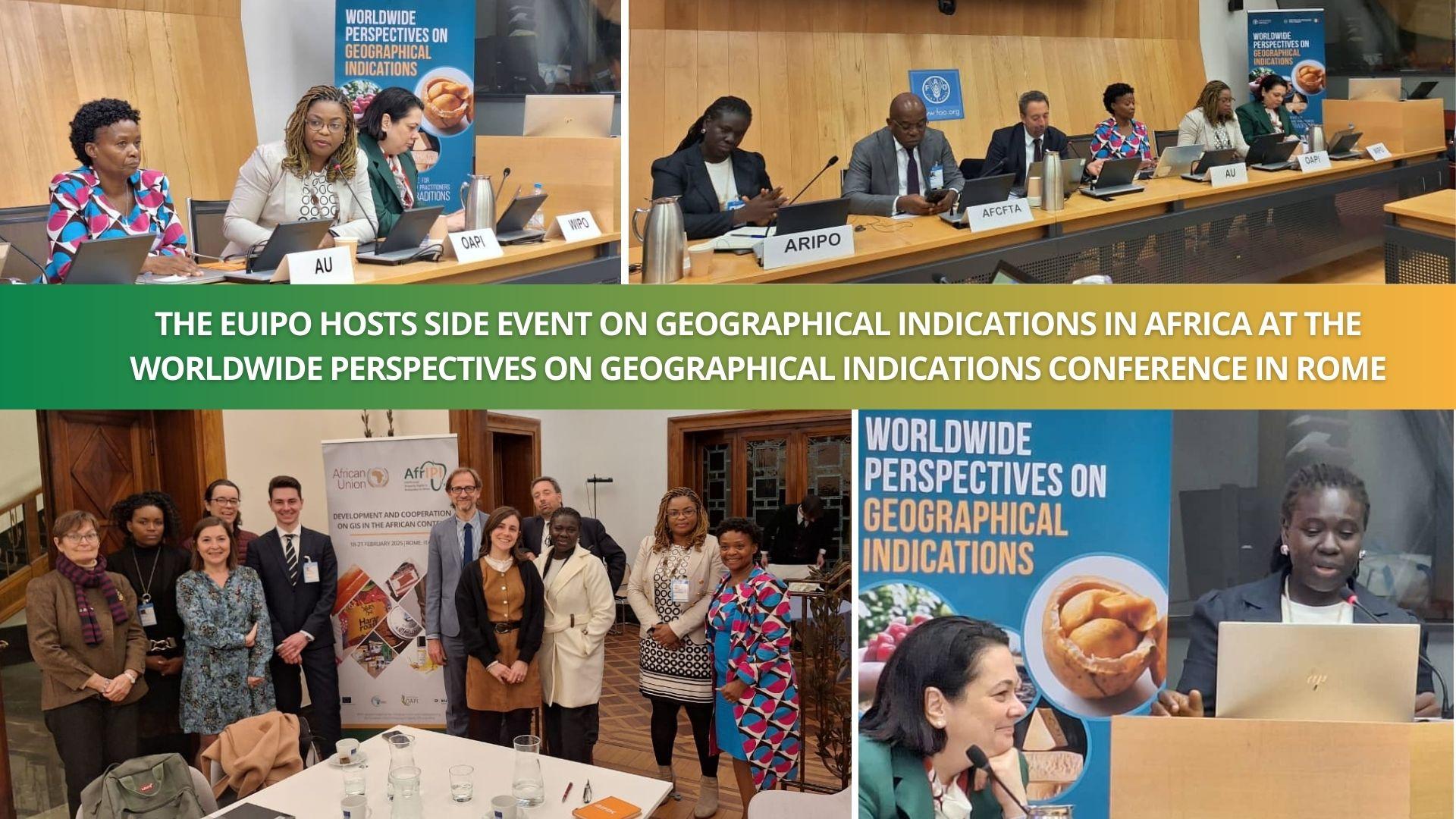 AfrIPI - NEWS - Activity 24