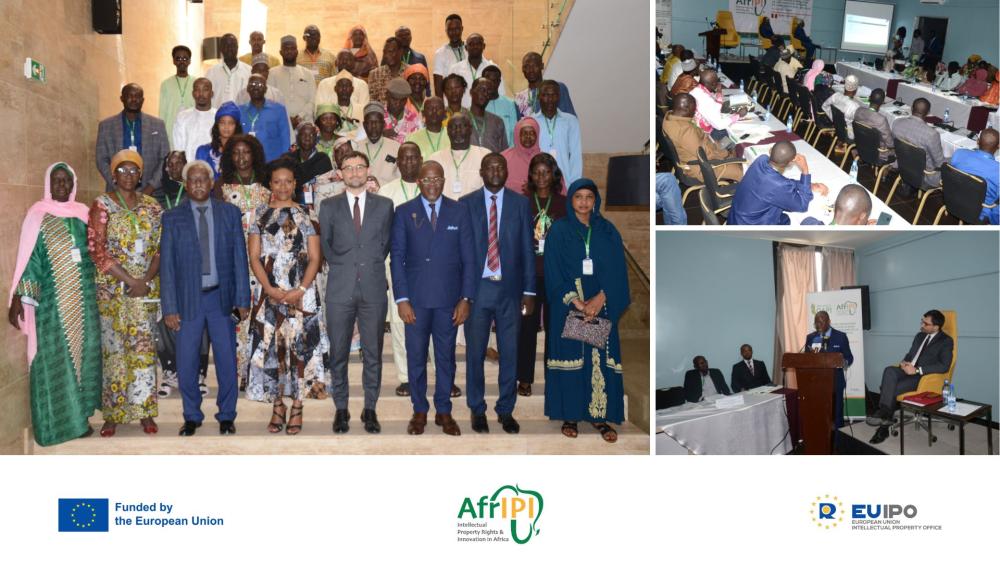 AfrIPI and OAPI collaborate to protect and promote GIs in Chad