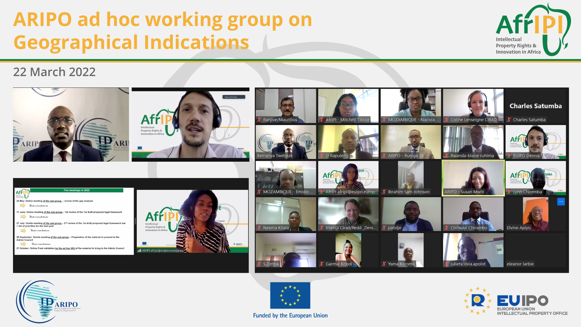 ARIPO_Ad-hoc-meetiings-on-GI_2203_1.png 