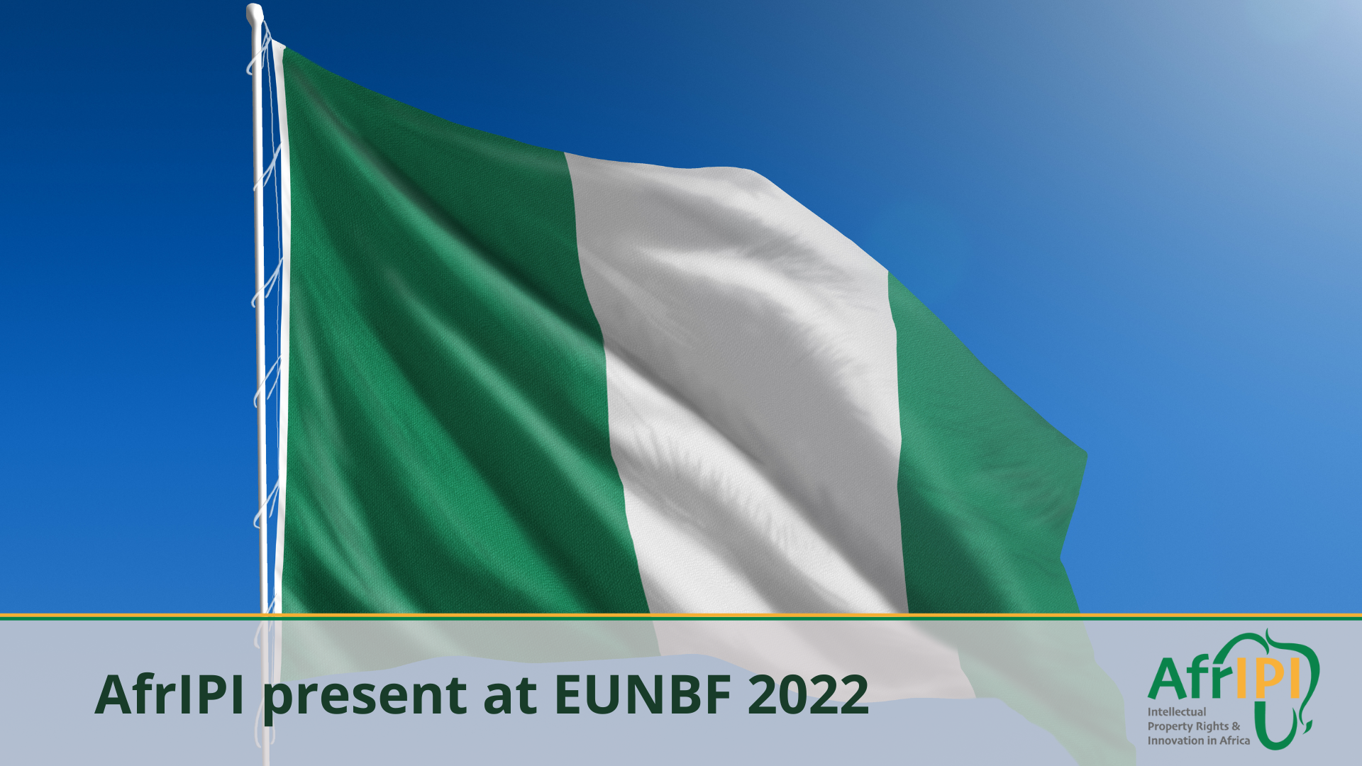 AfrIPI-takes-part-in-the-eighth-EUBF_0