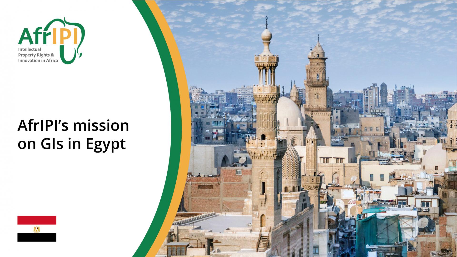 AfrIPI’s mission on geographical indications to Egypt 