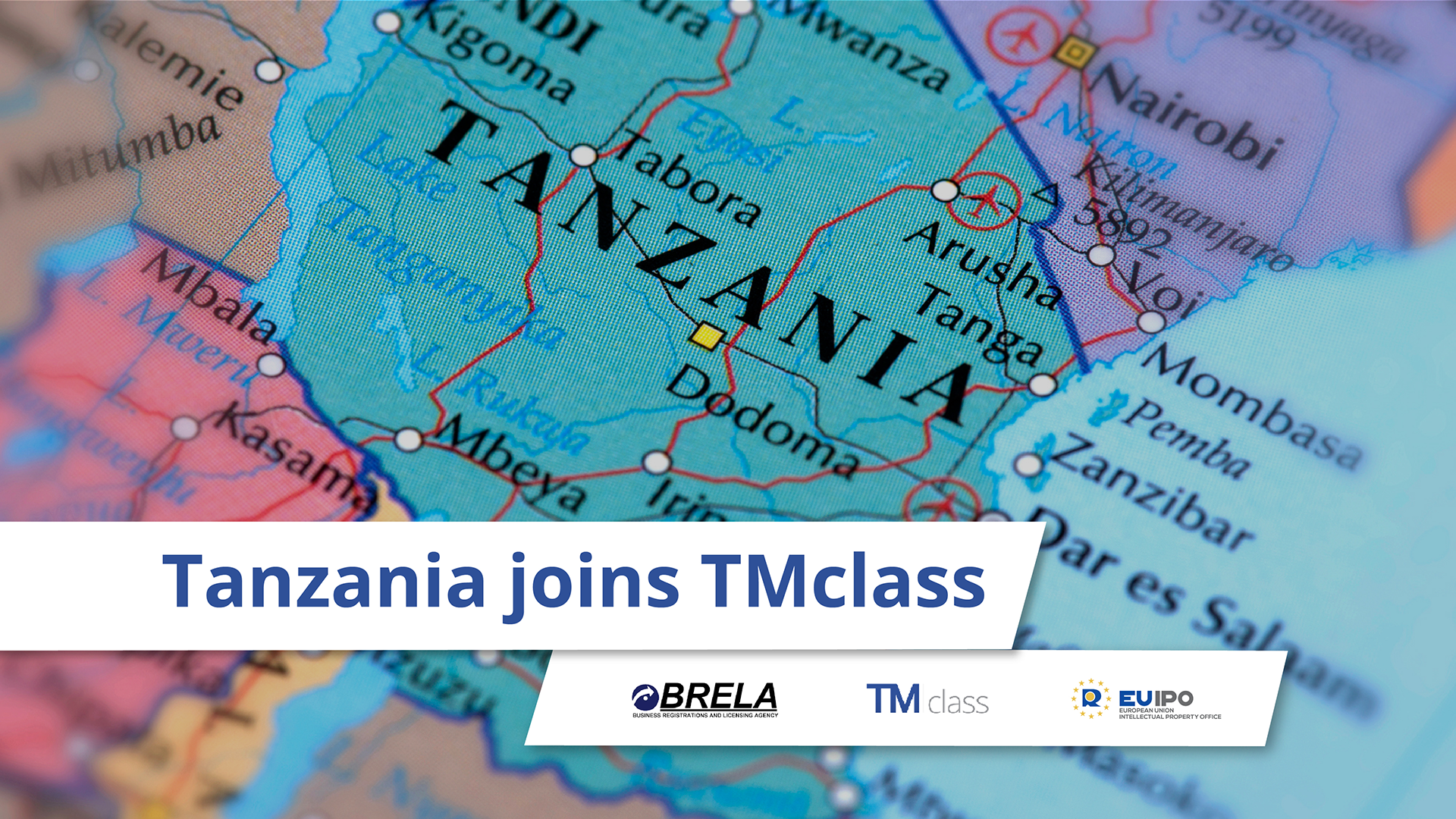 Go global congress logo