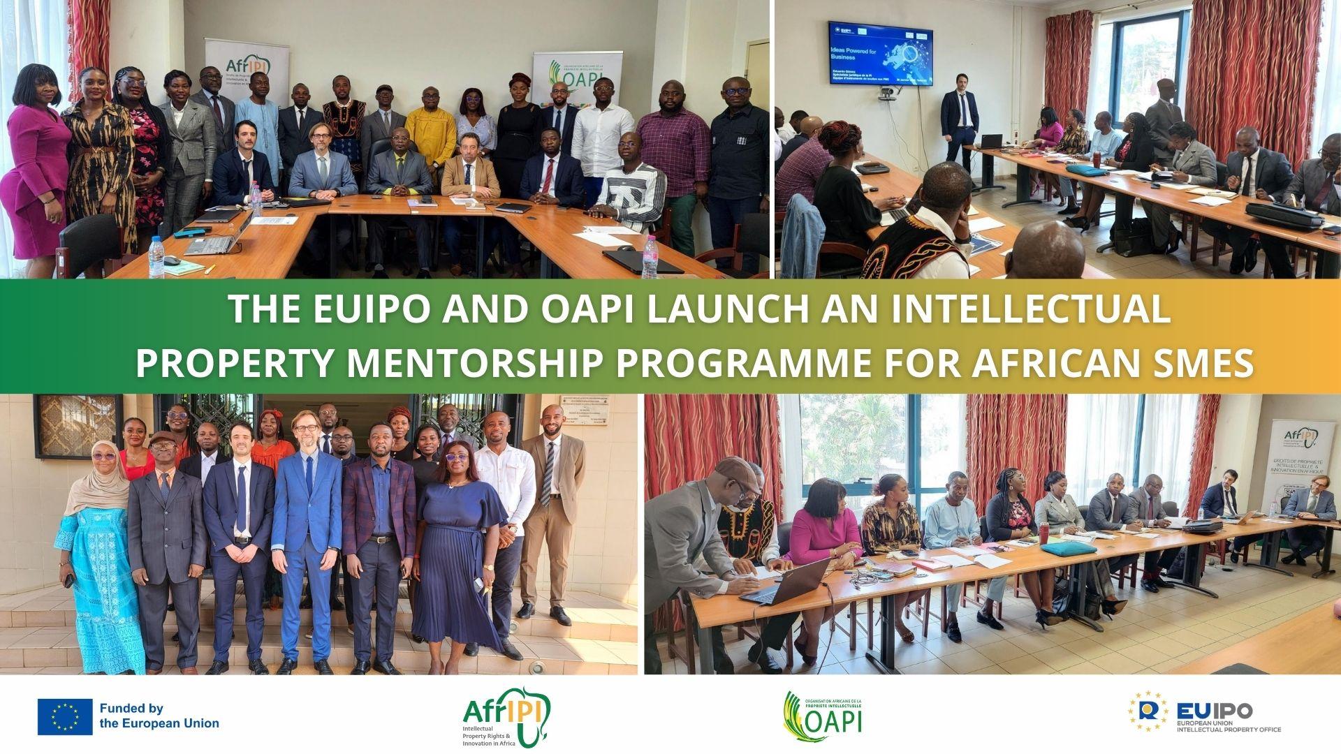 Mentorship programme for African SMEs